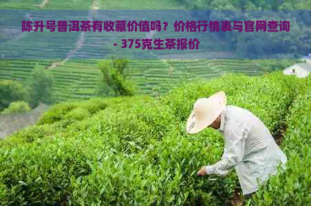 陈升号普洱茶有收藏价值吗？价格行情表与官网查询 - 375克生茶报价