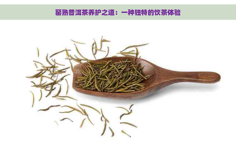 窑熟普洱茶养护之道：一种独特的饮茶体验