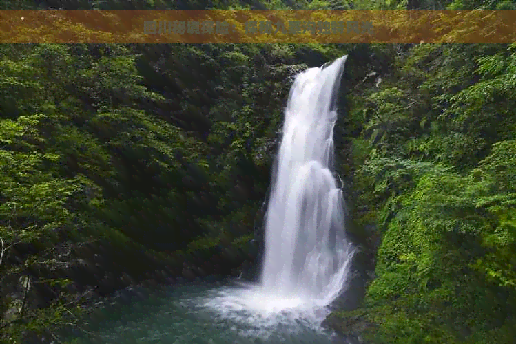 四川秘境探险：探秘九寨沟独特风光