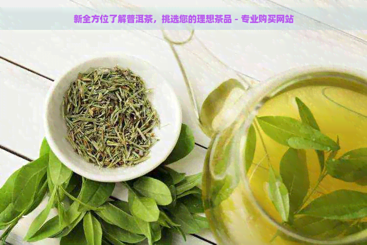 新全方位了解普洱茶，挑选您的理想茶品 - 专业购买网站