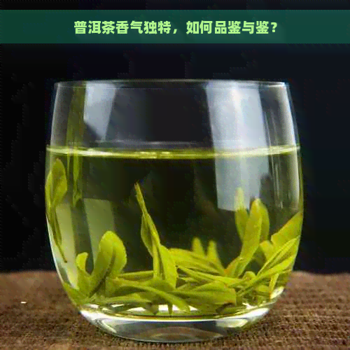 普洱茶香气独特，如何品鉴与鉴？