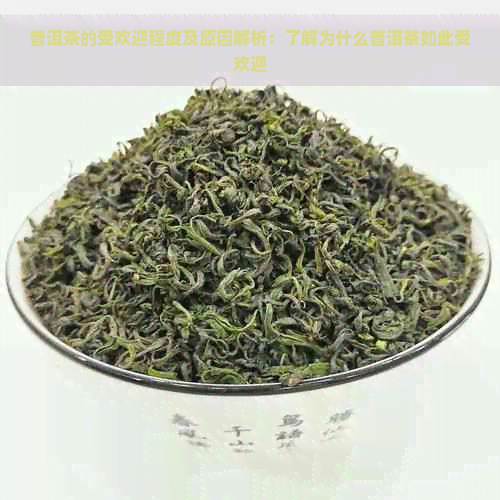 普洱茶的受欢迎程度及原因解析：了解为什么普洱茶如此受欢迎