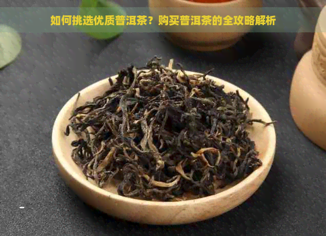 如何挑选优质普洱茶？购买普洱茶的全攻略解析