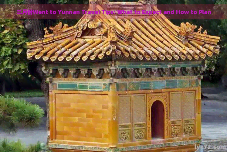 三月份Went to Yunnan Travel Tips: What to Expect and How to Plan