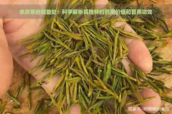 余庆茶的健益处：科学解析其独特的药用价值和营养功效