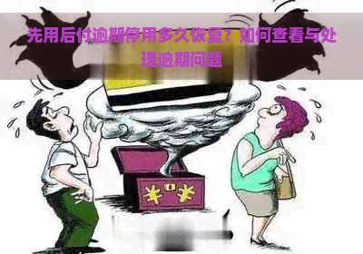 先用后付逾期停用多久恢复？如何查看与处理逾期问题