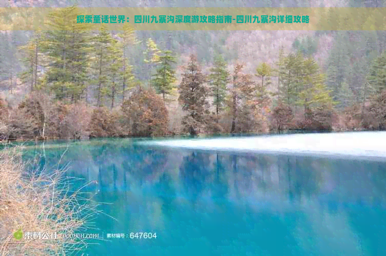 探索童话世界：四川九寨沟深度游攻略指南-四川九寨沟详细攻略