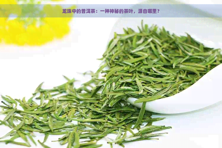 龙珠中的普洱茶：一种神秘的茶叶，源自哪里？