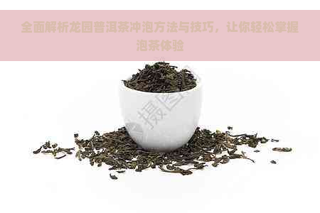 全面解析龙园普洱茶冲泡方法与技巧，让你轻松掌握泡茶体验