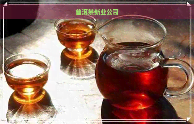 普洱茶新业公司