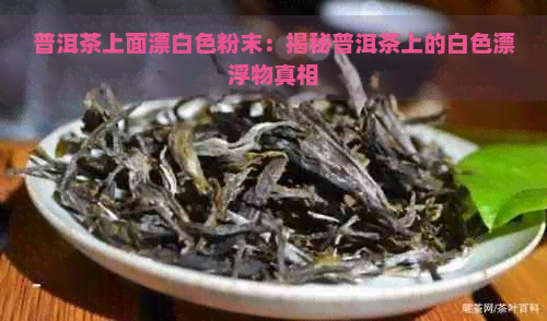 普洱茶上面漂白色粉末：揭秘普洱茶上的白色漂浮物真相