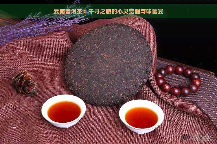 云南普洱茶：千寻之旅的心灵觉醒与味蕾宴