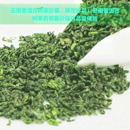 云南普洱古树茶珍藏，稀世珍品：云南普洱古树茶的收藏价值与品尝体验