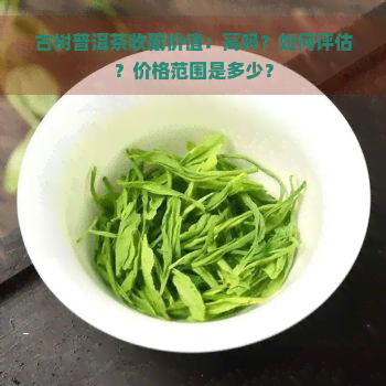 古树普洱茶收藏价值：高吗？如何评估？价格范围是多少？