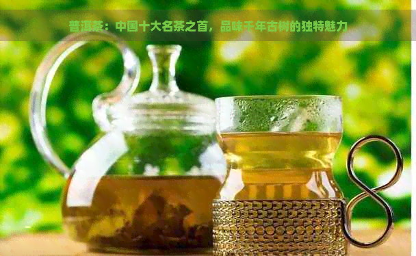 普洱茶：中国十大名茶之首，品味千年古树的独特魅力