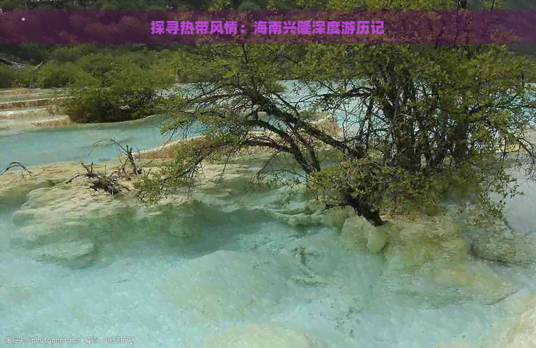 探寻热带风情：海南兴隆深度游历记