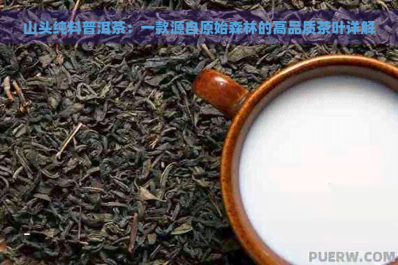 山头纯料普洱茶：一款源自原始森林的高品质茶叶详解