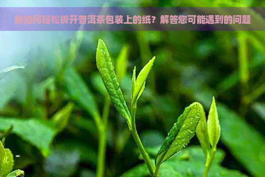 新如何轻松拆开普洱茶包装上的纸？解答您可能遇到的问题