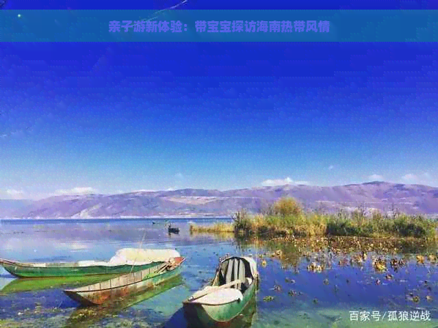 亲子游新体验：带宝宝探访海南热带风情