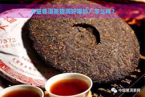 大益普洱茶甜润好喝吗？怎么样？