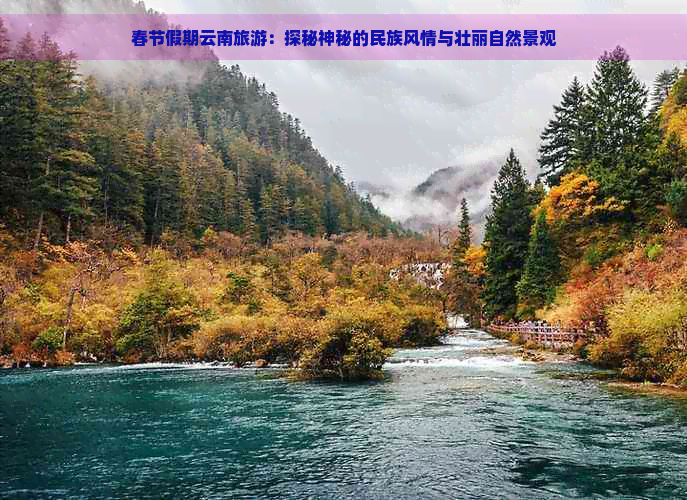 春节假期云南旅游：探秘神秘的民族风情与壮丽自然景观