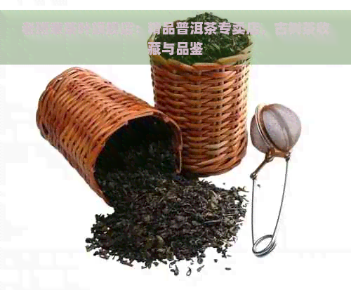 老班章茶叶旗舰店：精品普洱茶专卖店，古树茶收藏与品鉴