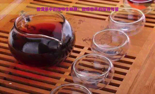 普洱茶中的独特生物卵：微观世界的探寻与鉴