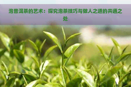 泡普洱茶的艺术：探究泡茶技巧与做人之道的共通之处