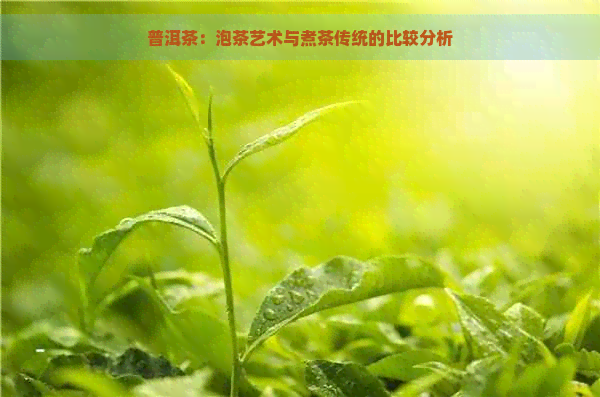 普洱茶：泡茶艺术与煮茶传统的比较分析