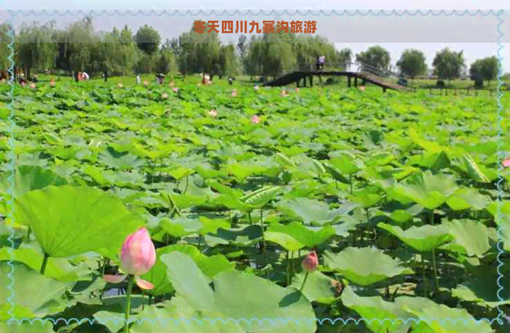 冬天四川九寨沟旅游