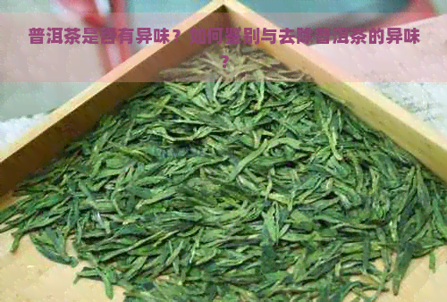 普洱茶是否有异味？如何鉴别与去除普洱茶的异味？