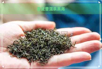 易武普洱茶黑亮