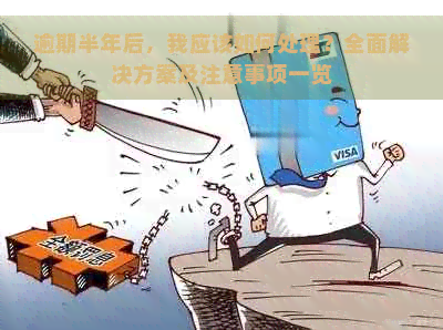 逾期半年后，我应该如何处理？全面解决方案及注意事项一览