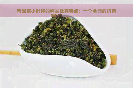 普洱茶小叶种的种类及其特点：一个全面的指南