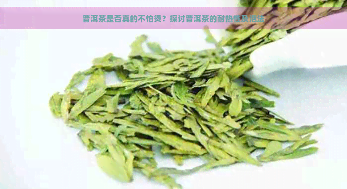 普洱茶是否真的不怕烫？探讨普洱茶的耐热性及泡法