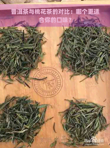 普洱茶与桃花茶的对比：哪个更适合你的口味？