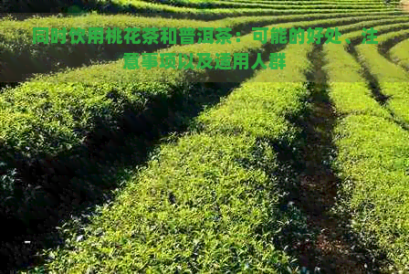 同时饮用桃花茶和普洱茶：可能的好处、注意事项以及适用人群