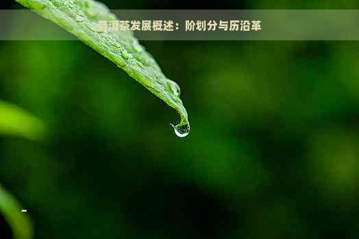 普洱茶发展概述：阶划分与历沿革