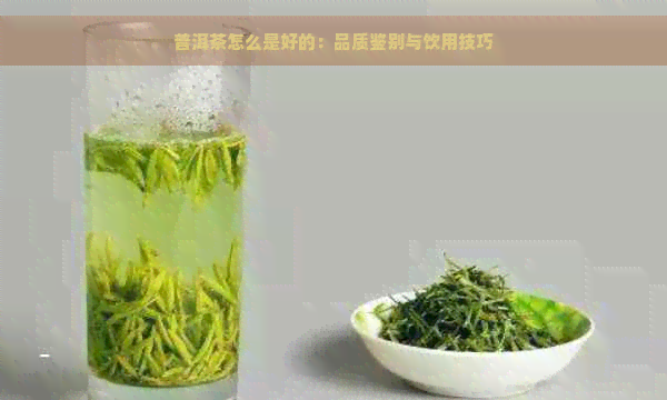 普洱茶怎么是好的：品质鉴别与饮用技巧