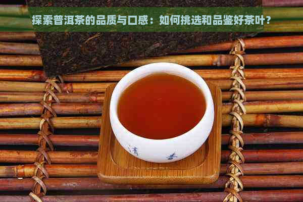 探索普洱茶的品质与口感：如何挑选和品鉴好茶叶？