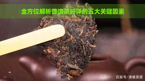 全方位解析普洱茶好评的五大关键因素