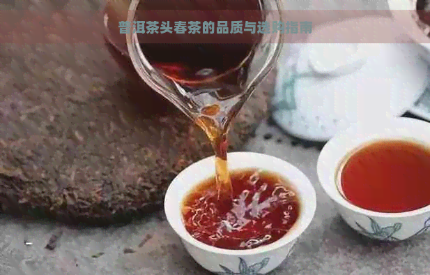 普洱茶头春茶的品质与选购指南