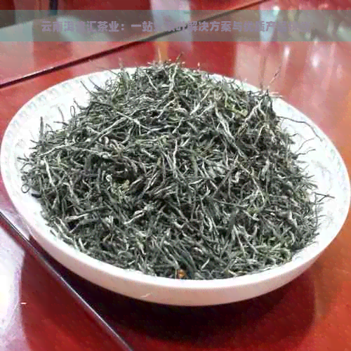 云南洱普汇茶业：一站式茶叶解决方案与优质产品供应