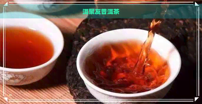 洱聚友普洱茶