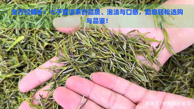 全方位解析：七子普洱茶的品质、泡法与口感，助您轻松选购与品鉴！