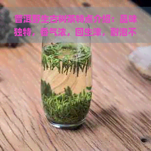 普洱野生古树茶特点介绍：品味独特，香气浓，回生津，耐泡不涩。