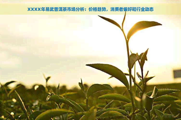 XXXX年易武普洱茶市场分析：价格趋势，消费者偏好和行业动态