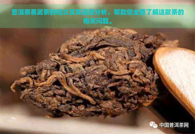 普洱茶易武茶的档次及其品质分析，帮助您全面了解这款茶的相关问题。