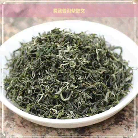 易武普洱茶散文