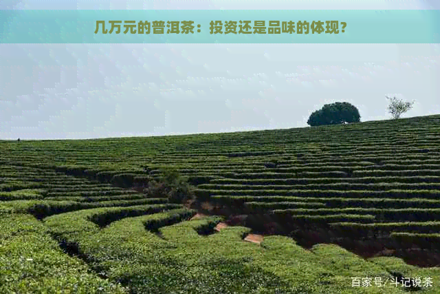 几万元的普洱茶：投资还是品味的体现？